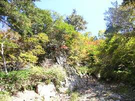 http://entotsuyama.hobby-web.net/27sawagaikizumaru.jpg