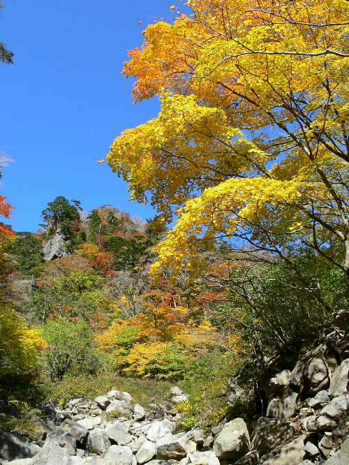http://entotsuyama.hobby-web.net/27bunki.jpg