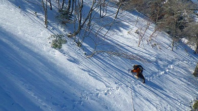 http://entotsuyama.hobby-web.net/toryo-30.jpg
