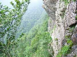 http://entotsuyama.hobby-web.net/img5100.jpg