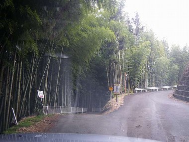 http://entotsuyama.hobby-web.net/ohjisha1st25.jpg