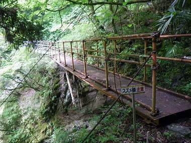 http://entotsuyama.hobby-web.net/nishinokawa36oji26.jpg