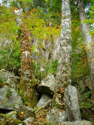 http://entotsuyama.hobby-web.net/kitah20n10g22.jpg