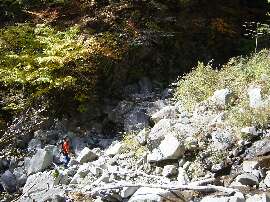 http://entotsuyama.hobby-web.net/28unkiwomigini.jpg