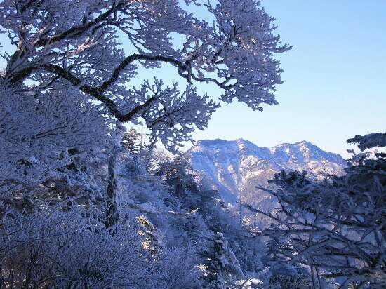 http://entotsuyama.hobby-web.net/img5001.jpg