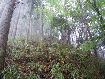 http://entotsuyama.hobby-web.net/suishou30.jpg