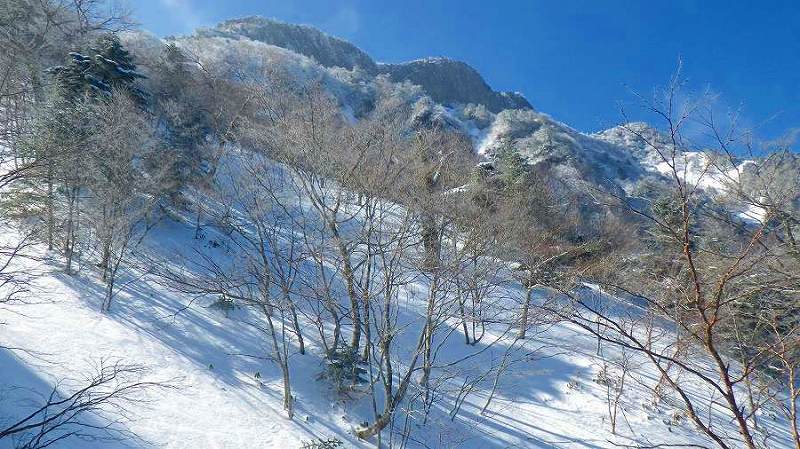 http://entotsuyama.hobby-web.net/toryo-31b.jpg