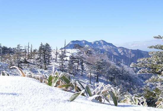 http://entotsuyama.hobby-web.net/img5002.jpg