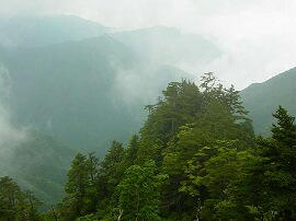 http://entotsuyama.hobby-web.net/img5102.jpg