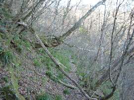 http://entotsuyama.hobby-web.net/25tozandou.jpg