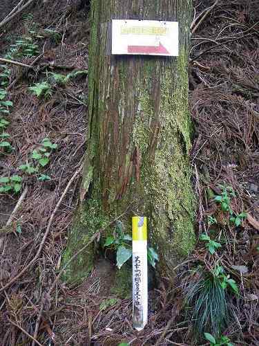 http://entotsuyama.hobby-web.net/nishinokawa36oji28.jpg
