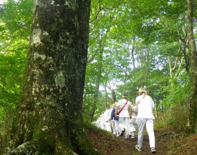 http://entotsuyama.hobby-web.net/IMGP7487.jpg