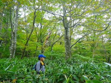 http://entotsuyama.hobby-web.net/IMGP1868.jpg
