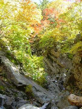 http://entotsuyama.hobby-web.net/35dainitakinotemae.jpg