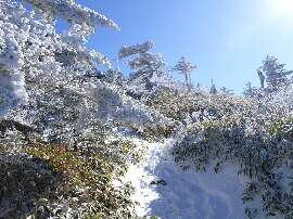 http://entotsuyama.hobby-web.net/img5003.jpg