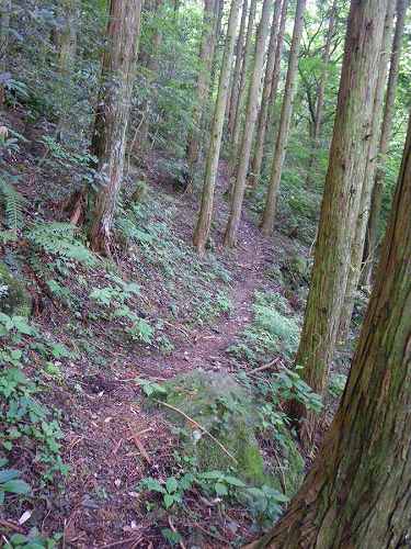 http://entotsuyama.hobby-web.net/nishinokawa36oji29.jpg