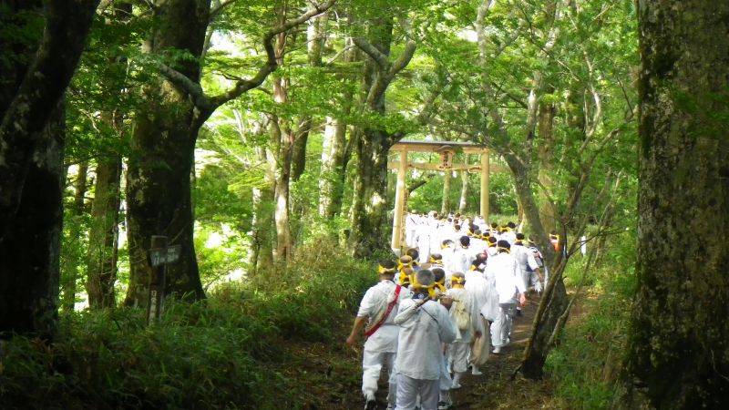 http://entotsuyama.hobby-web.net/IMGP7488.jpg