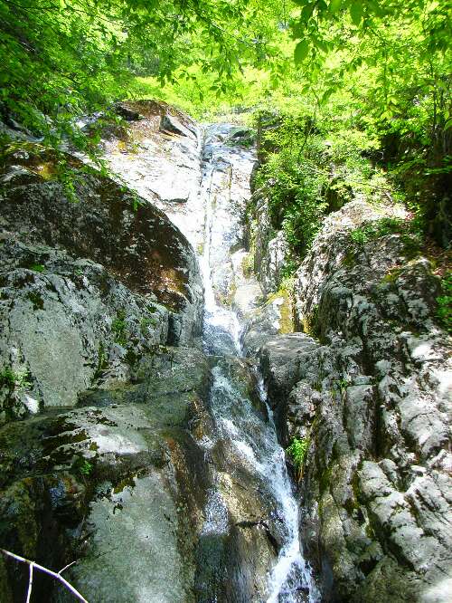 http://entotsuyama.hobby-web.net/ishikitajun29.jpg