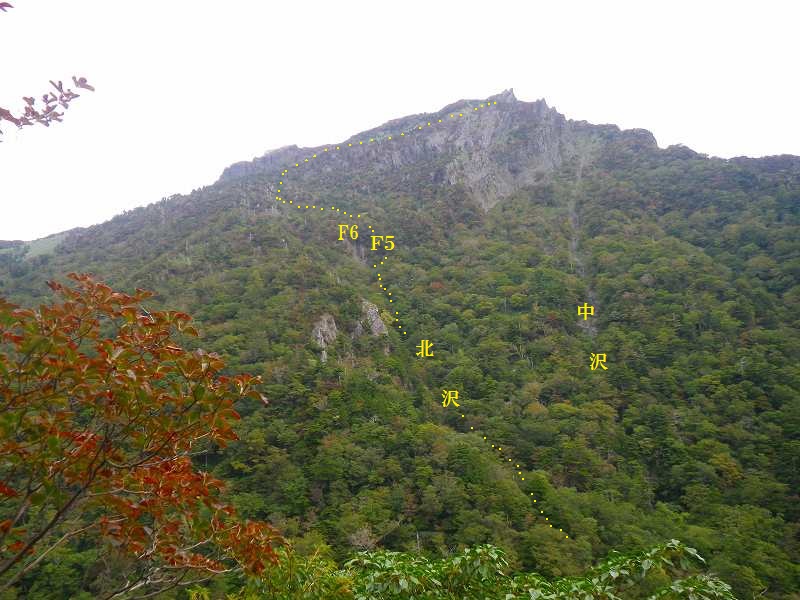 http://entotsuyama.hobby-web.net/IMGP1873.jpg