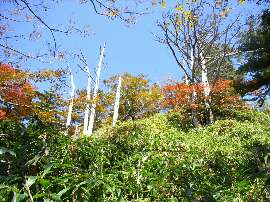 http://entotsuyama.hobby-web.net/36onesuji.jpg
