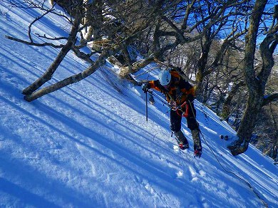 http://entotsuyama.hobby-web.net/toryo-35.jpg