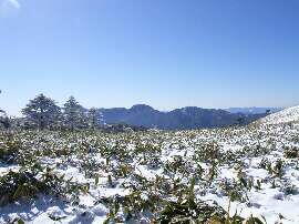 http://entotsuyama.hobby-web.net/img5004.jpg