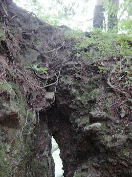 http://entotsuyama.hobby-web.net/img5104.jpg