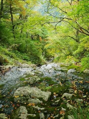 http://entotsuyama.hobby-web.net/kitah20n10g25f4.jpg
