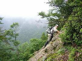 http://entotsuyama.hobby-web.net/img5105.jpg
