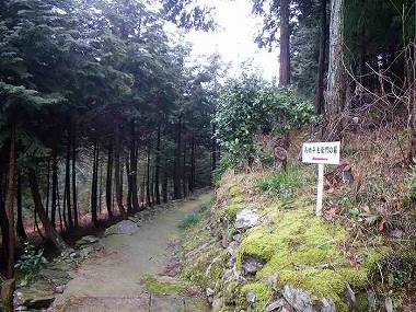 http://entotsuyama.hobby-web.net/ohjisha1st29.jpg
