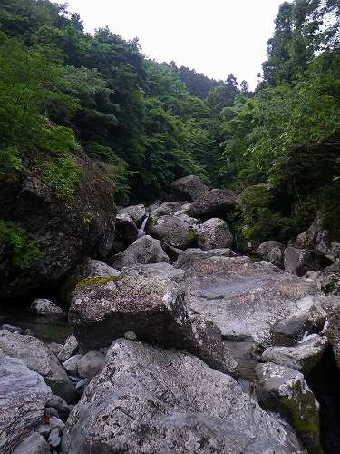 http://entotsuyama.hobby-web.net/nishinokawa36oji33.jpg