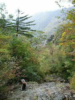 http://entotsuyama.hobby-web.net/img4795.jpg