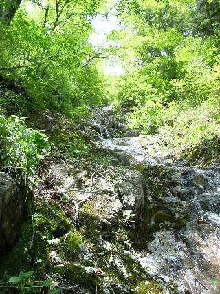 http://entotsuyama.hobby-web.net/ishikitajun31sawa.jpg