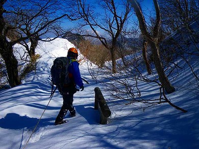 http://entotsuyama.hobby-web.net/toryo-37.jpg