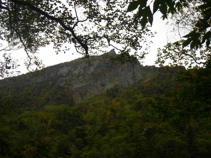 http://entotsuyama.hobby-web.net/IMGP1877.jpg