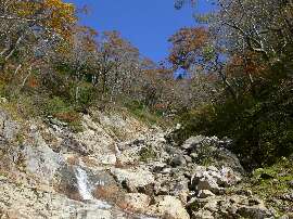 http://entotsuyama.hobby-web.net/38sawa.jpg