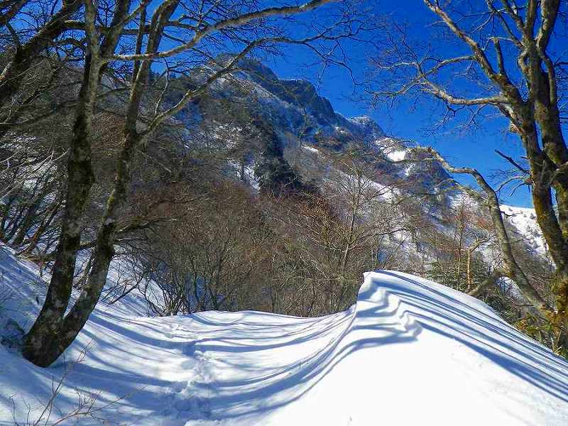 http://entotsuyama.hobby-web.net/toryo-37big.jpg