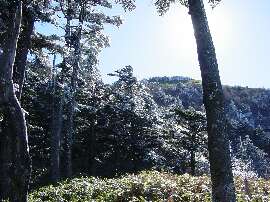 http://entotsuyama.hobby-web.net/29onemichi.jpg
