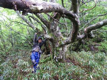 http://entotsuyama.hobby-web.net/suishou39.jpg