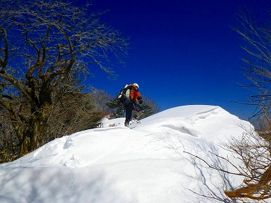 http://entotsuyama.hobby-web.net/toryo-38.jpg