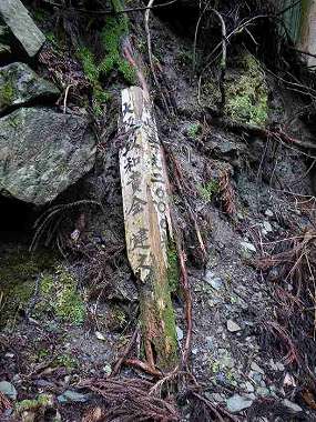 http://entotsuyama.hobby-web.net/itazuri46.jpg