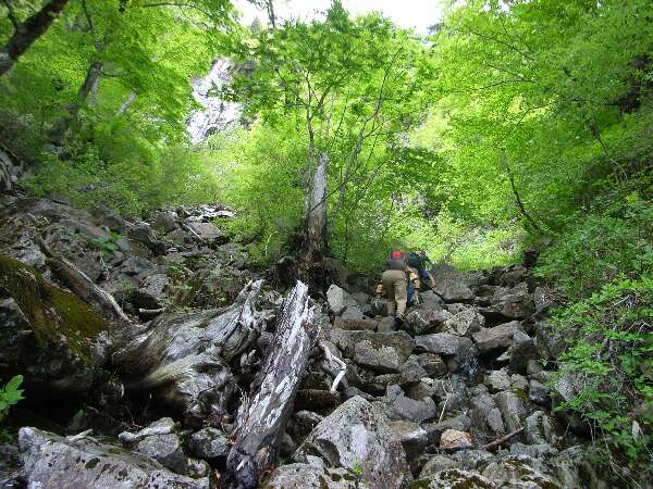 http://entotsuyama.hobby-web.net/ishikitajun34f6f5.jpg