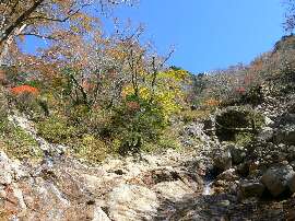 http://entotsuyama.hobby-web.net/41bunki.jpg