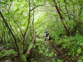 http://entotsuyama.hobby-web.net/img5125.jpg