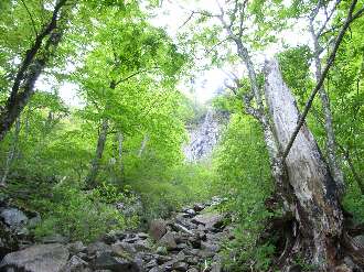 http://entotsuyama.hobby-web.net/ishikitajun35f6.jpg
