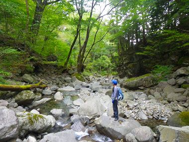 http://entotsuyama.hobby-web.net/IMGP1882.jpg
