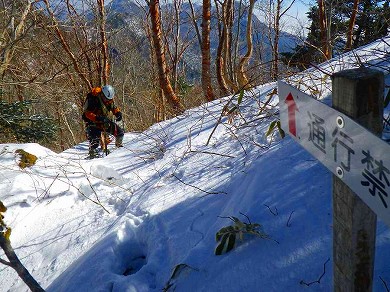 http://entotsuyama.hobby-web.net/toryo-40.jpg