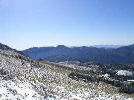 http://entotsuyama.hobby-web.net/img5010.jpg