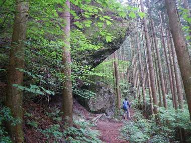 http://entotsuyama.hobby-web.net/nishinokawa36oji38.jpg