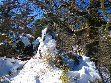 http://entotsuyama.hobby-web.net/toryo-41.jpg